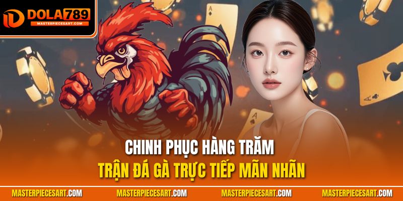 Chinh phục hàng trăm trận đá gà trực tiếp mãn nhãn